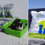 Arena de gato «Bento Borax»: un novedoso emprendimiento uyunense que marca la diferencia en el cuidado de las mascotas